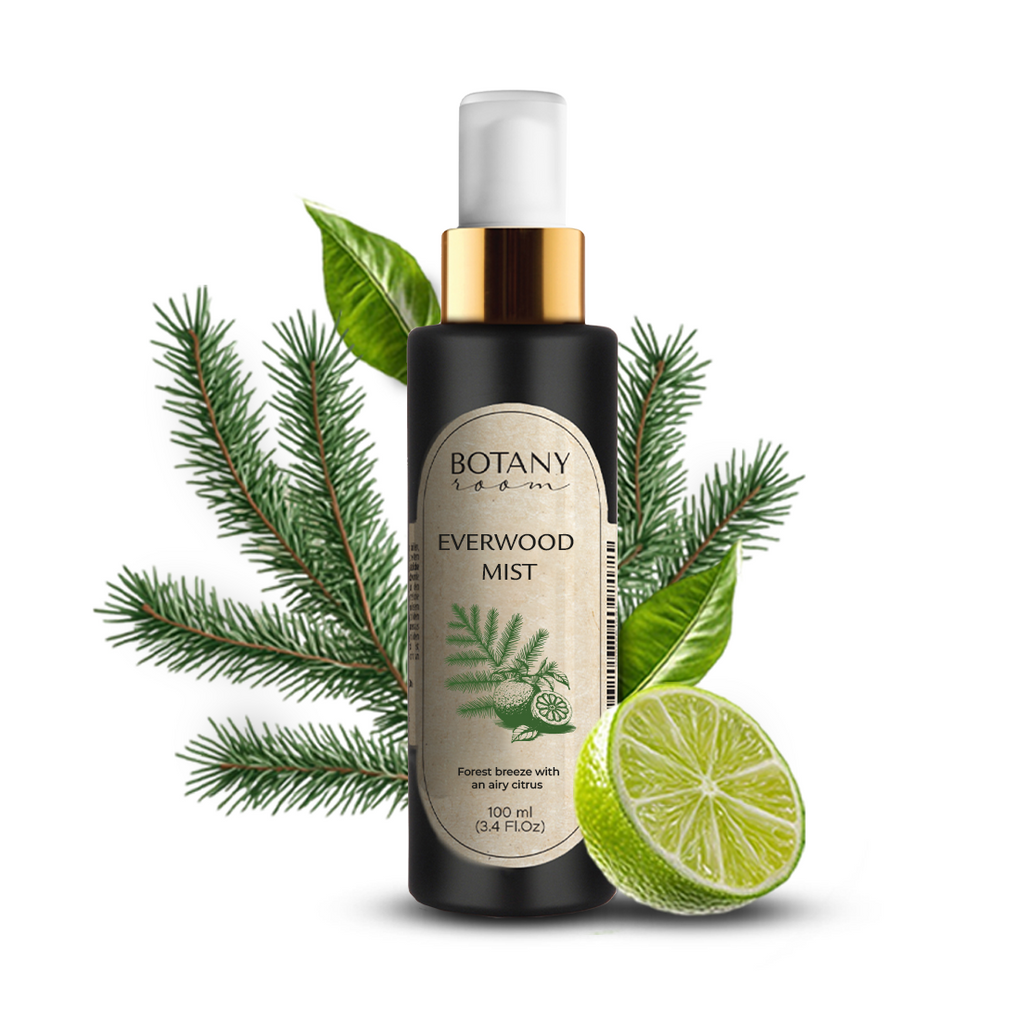 „Amžina miško ramybė"